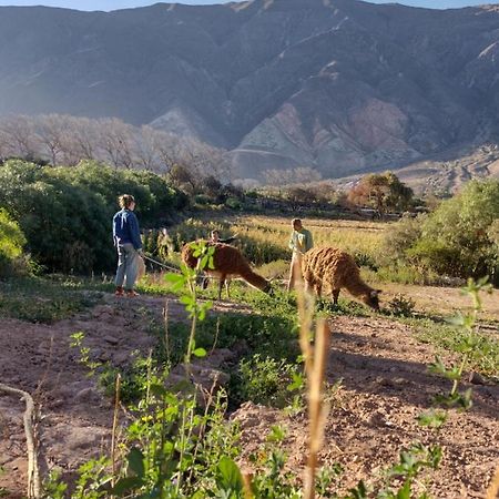 Dormir Con Llamas Maimará Εξωτερικό φωτογραφία